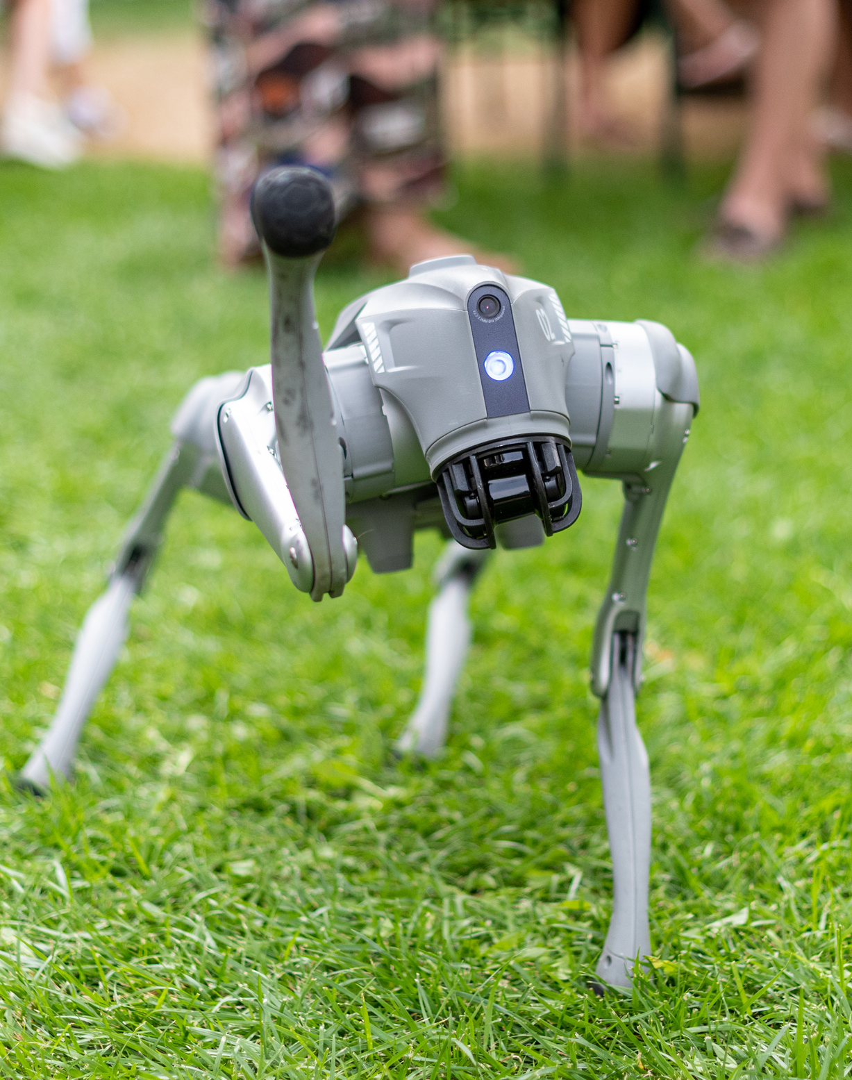 Buksi, az Eventron robotkutyája – Különleges élmény a rendezvényeden