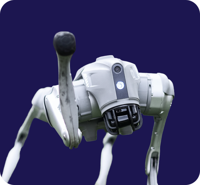 Eventron Robot Dog rendezvényélmény